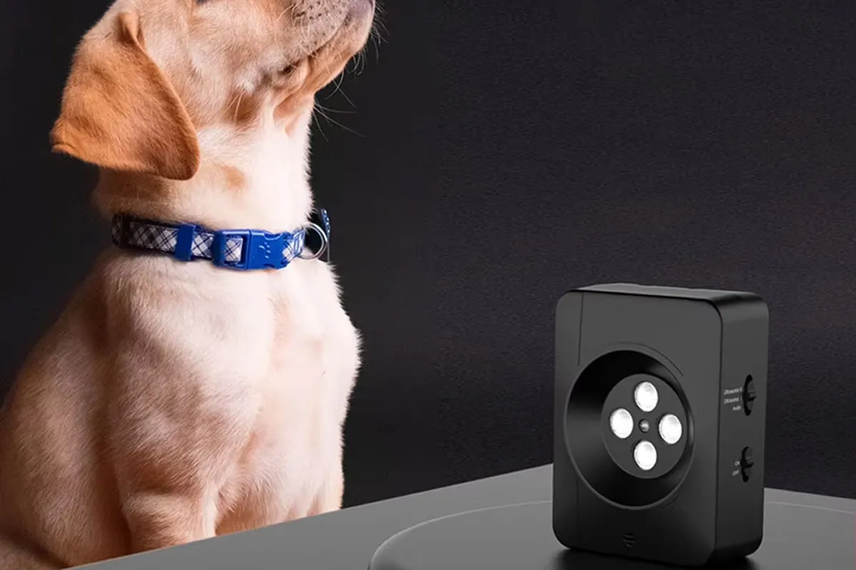 Dog Training Trends Tech and Smarter Learning