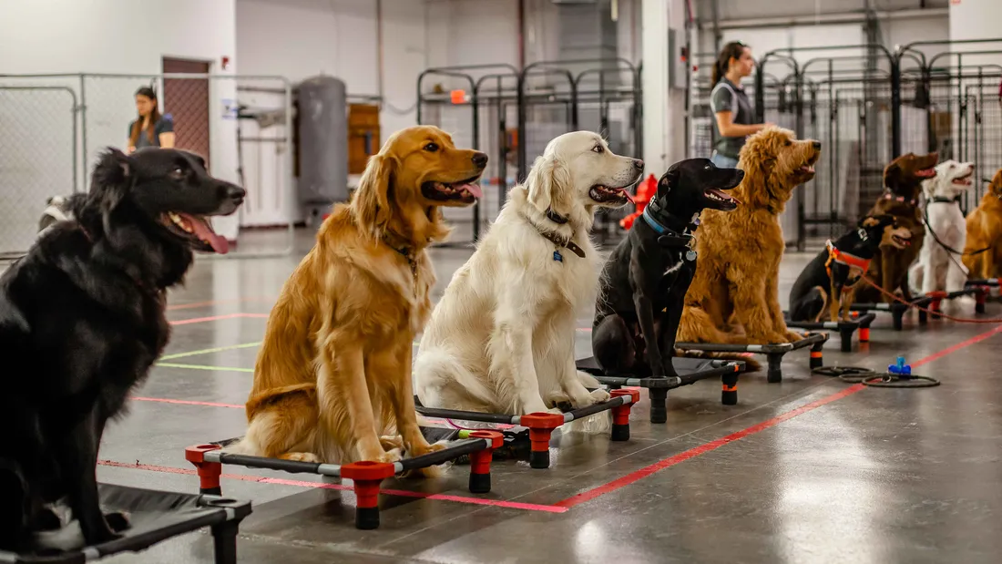 Traditional to Tech-Enhanced Training